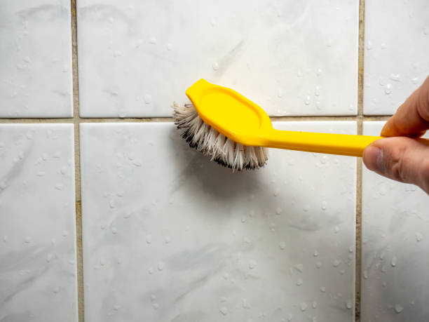 Best Black Mold Remediation in Blue Rapids, KS