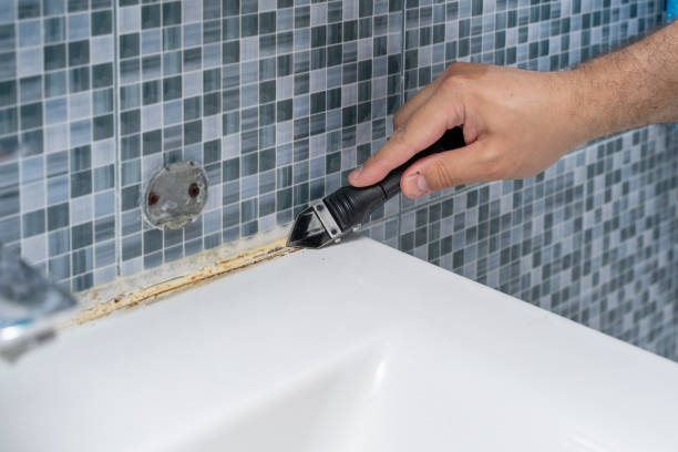 Blue Rapids, KS Mold Remediation Company