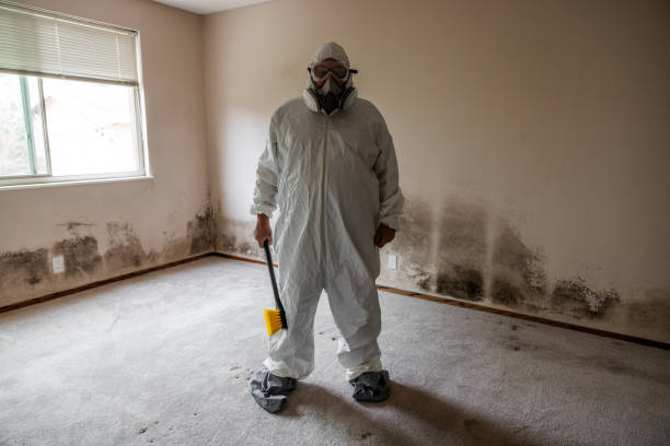 Best Mold Testing and Inspection Services in Blue Rapids, KS